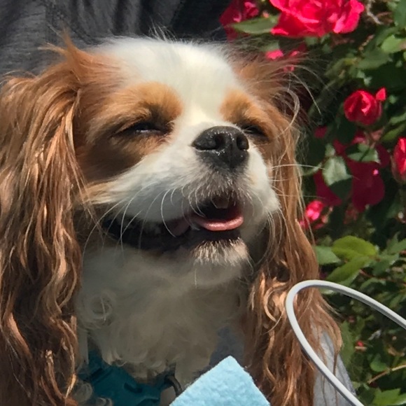 Meet the Posher Other - Meet your Posher, Katy